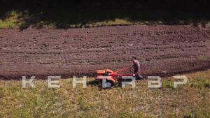 Мотоблок Кентавр 1010Д (Toyokawa)